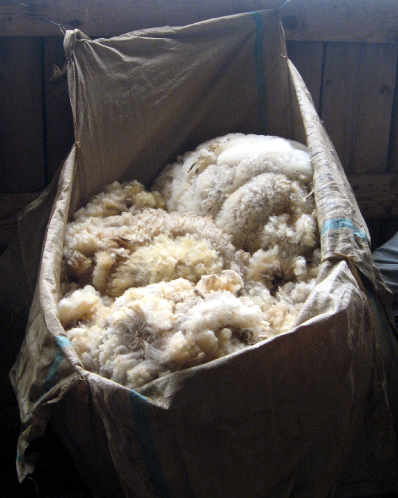 Grading your wool clip Canadian Cooperative Wool Growers Limited